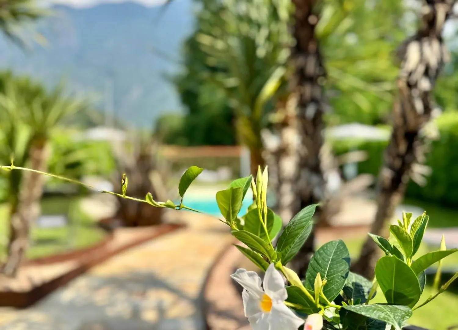 בית נופש Boario Terme Valcamonica Apartments
